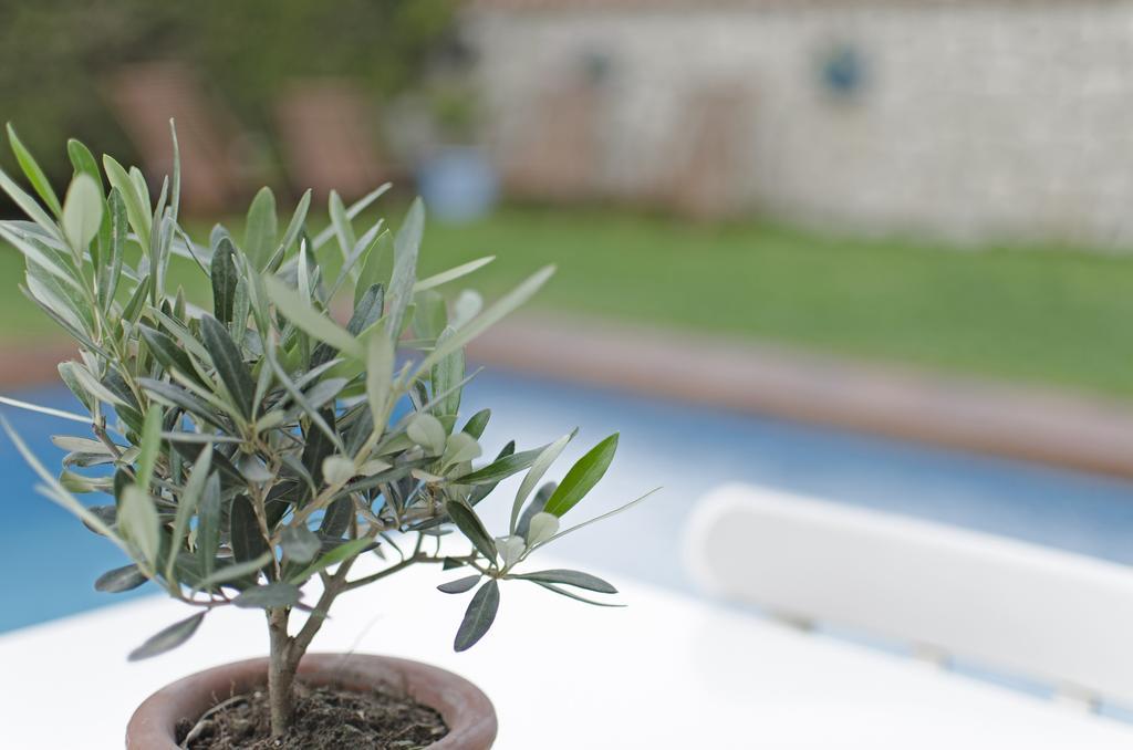 Alacati Roka Hotel Kültér fotó